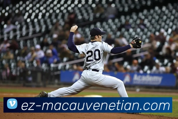 威尼斯人官网平台生态图